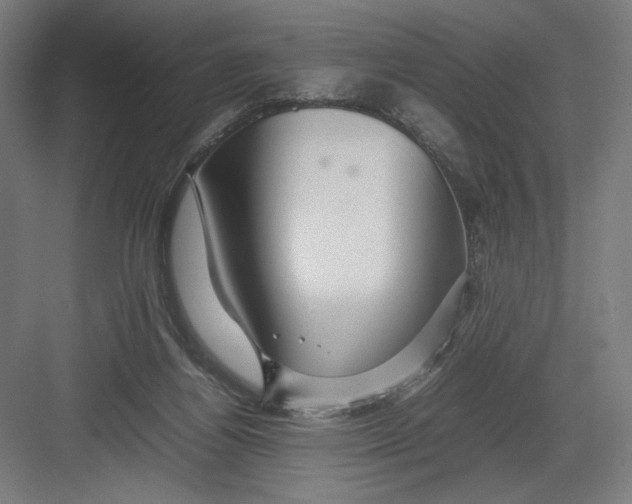 X0000082200164200702100010