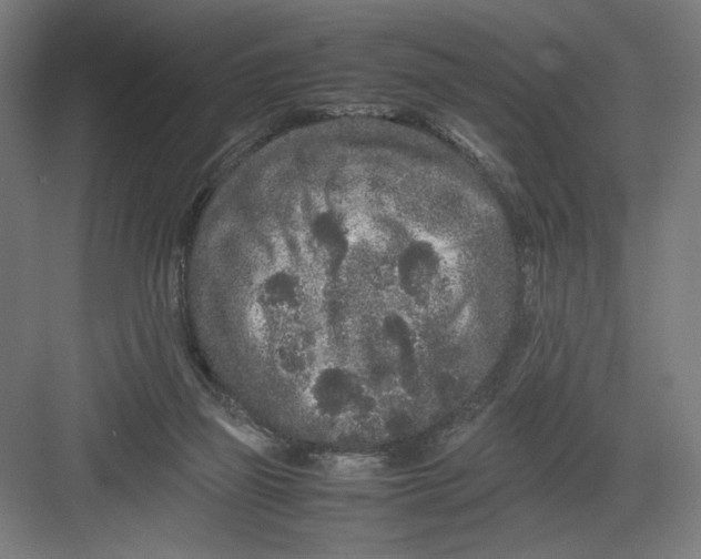 X0000082200165200702100010