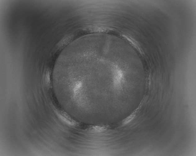 X0000082200166200702100010