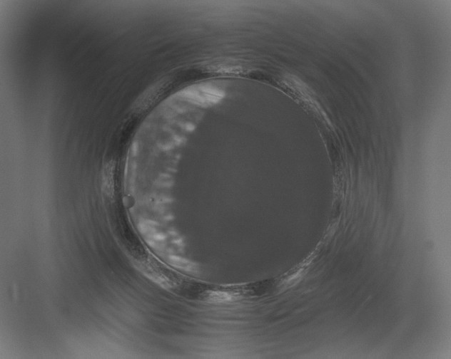 X0000082200167200702100010