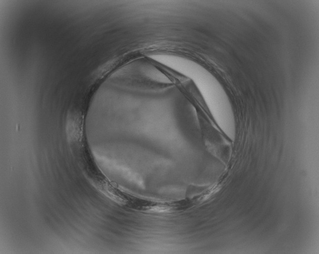 X0000082200168200702100010