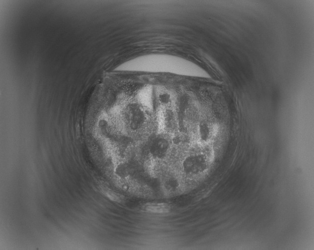 X0000082200169200702100010