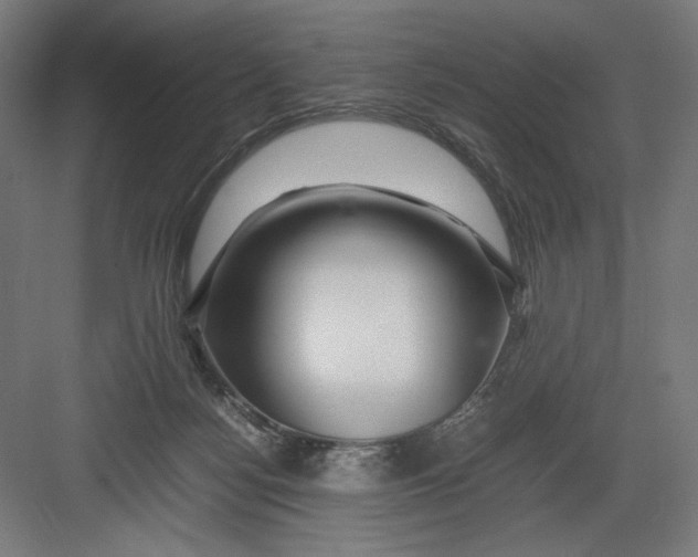 X0000082200172200702100010