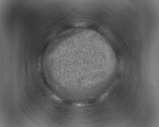 X0000082200175200702100010