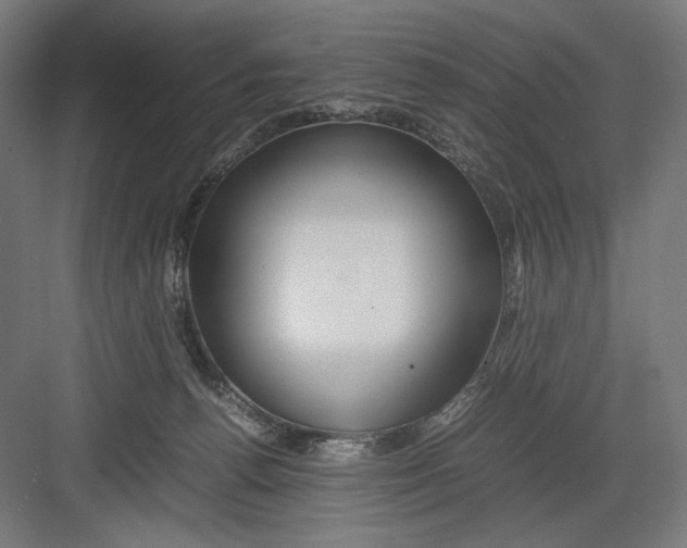 X0000082200176200702100010