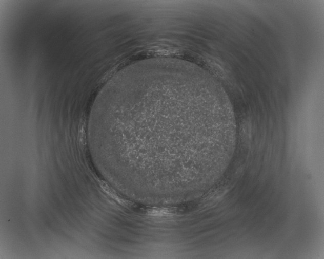 X0000082200177200702100010