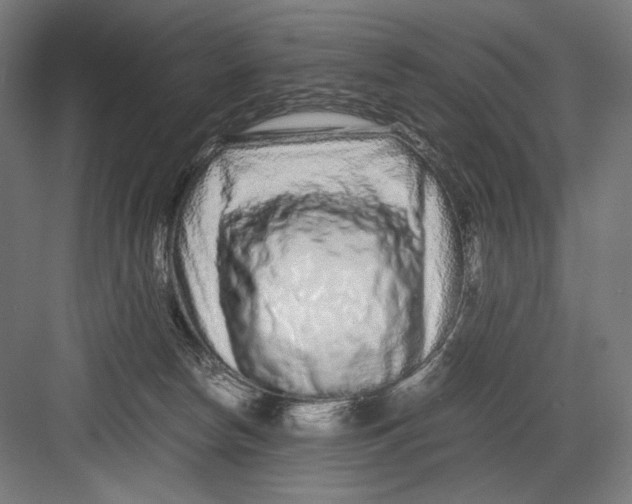 X0000082200178200702100010