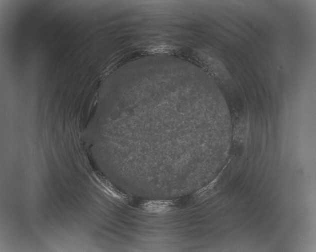 X0000082200179200702100010