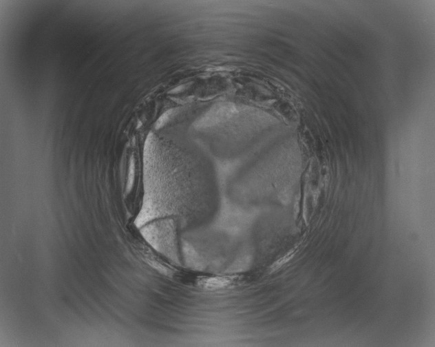 X0000082200180200702100010