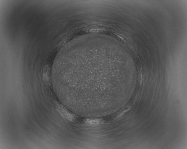 X0000082200181200702100010