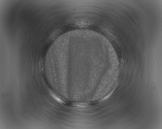 X0000082200182200702100010