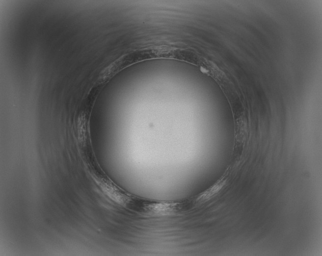 X0000082200184200702100010