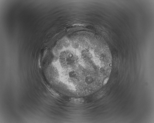 X0000082200185200702100011