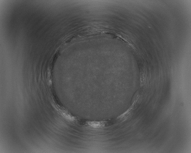 X0000082200187200702100011