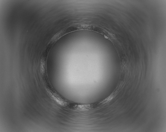 X0000082200188200702100011