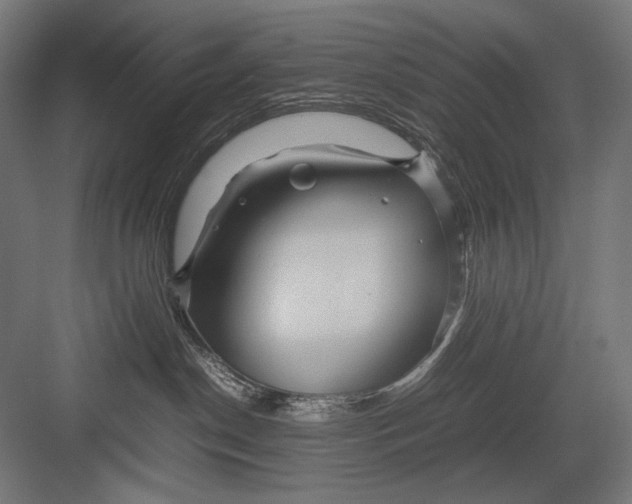 X0000082200190200702100011