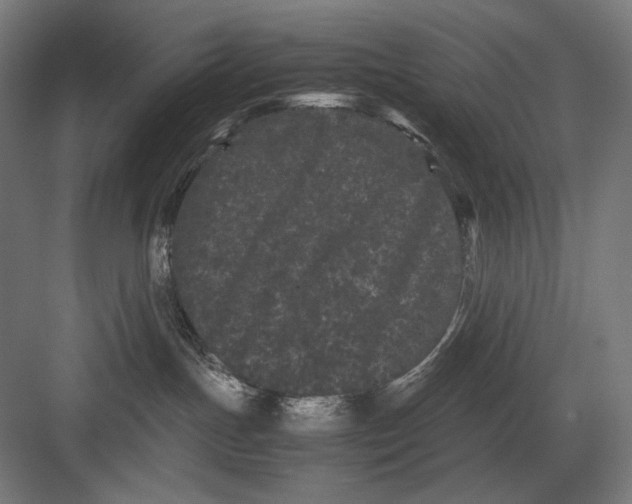 X0000082200191200702100011