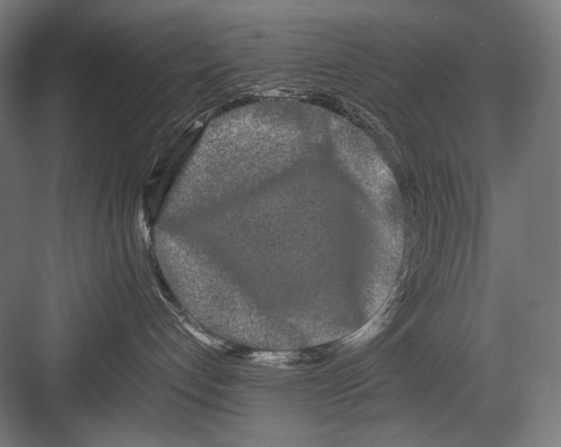 X0000082200192200702100011