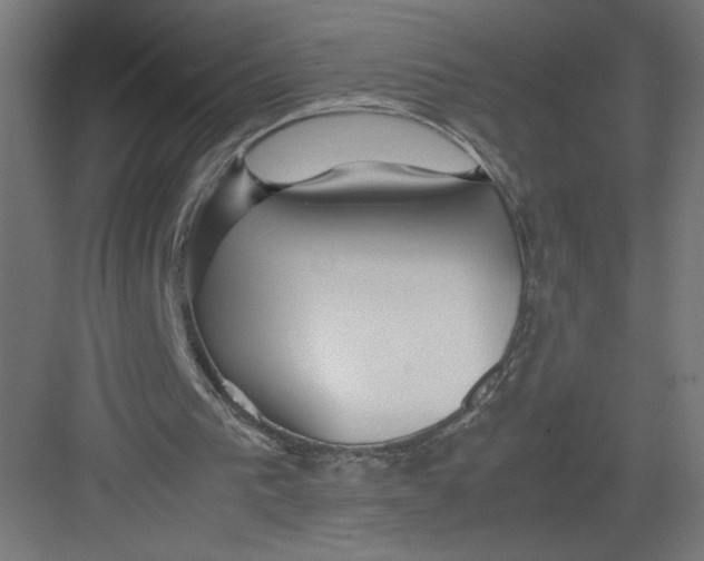 X0000082200193200702100010