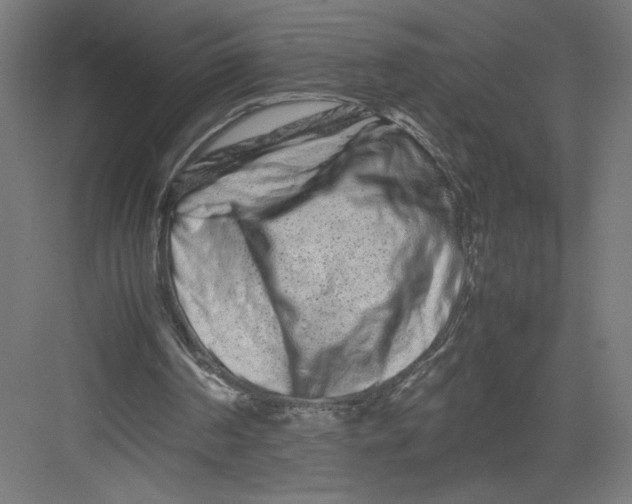 X0000082200194200702100010