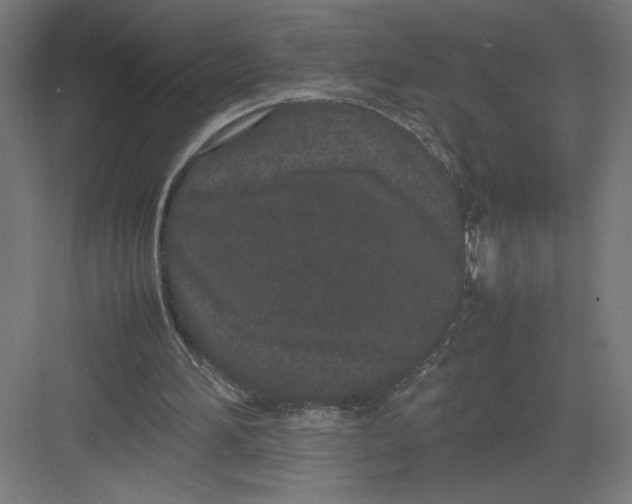 X0000082200196200702100010