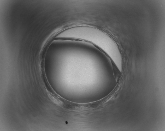 X0000082200197200702100010