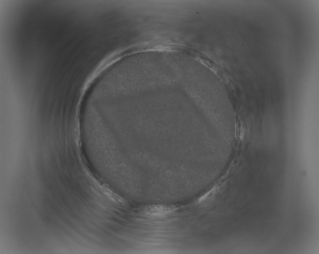 X0000082200198200702100010