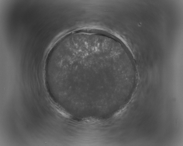 X0000082200199200702100010