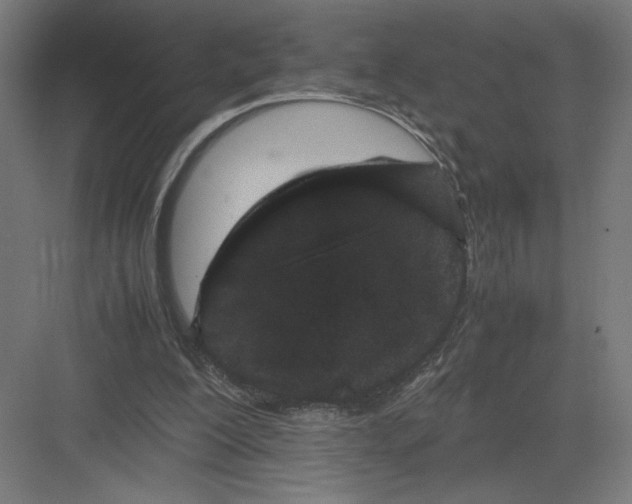 X0000082200200200702100010