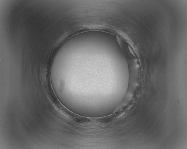 X0000082200201200702100010