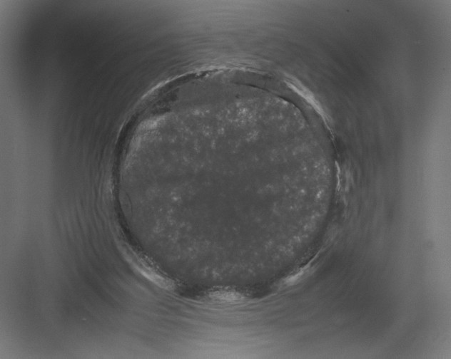 X0000082200203200702100010