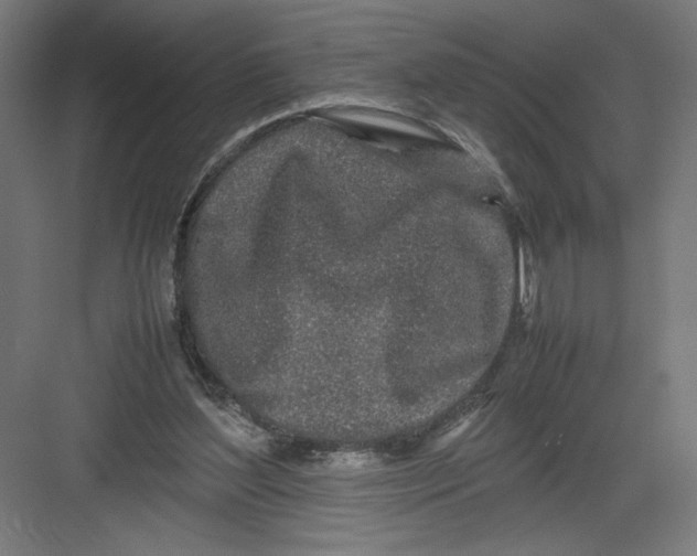 X0000082200204200702100010