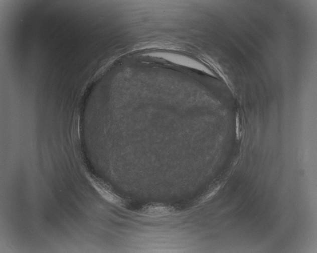 X0000082200205200702100010