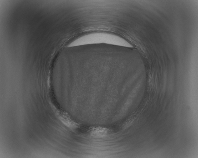 X0000082200206200702100010