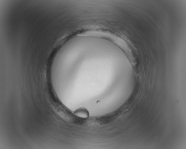 X0000082200207200702100010