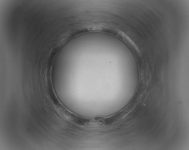 X0000082200209200702100010