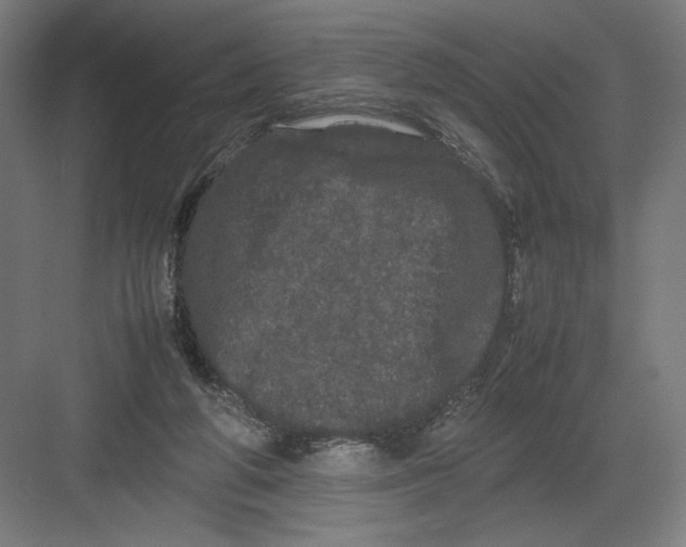 X0000082200210200702100010