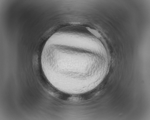 X0000082200211200702100010