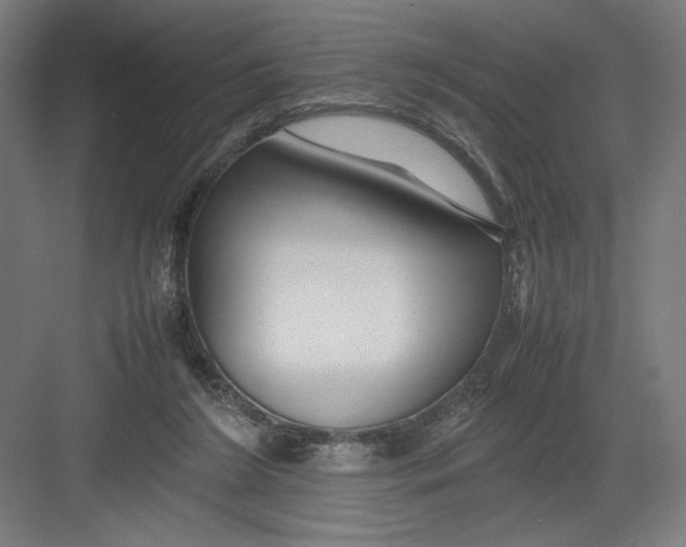 X0000082200212200702100010