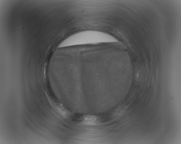 X0000082200214200702100009