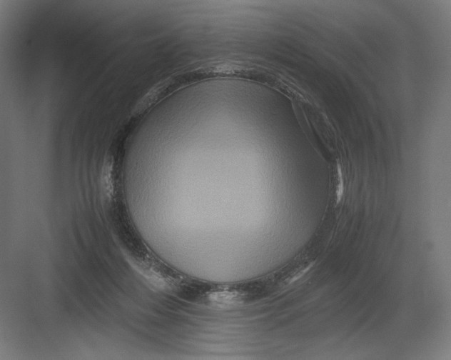 X0000082200216200702100009