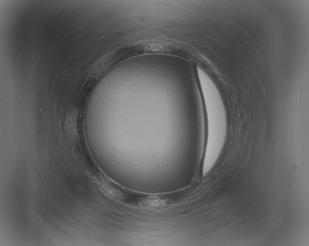 X0000082200217200702100009