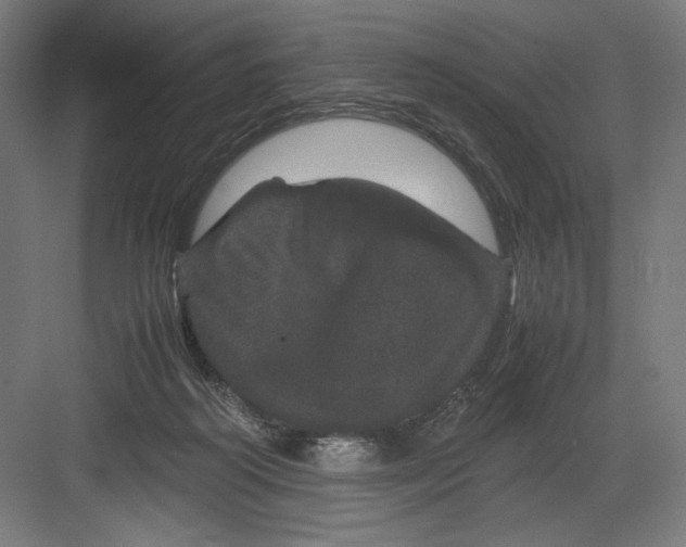 X0000082200218200702100009