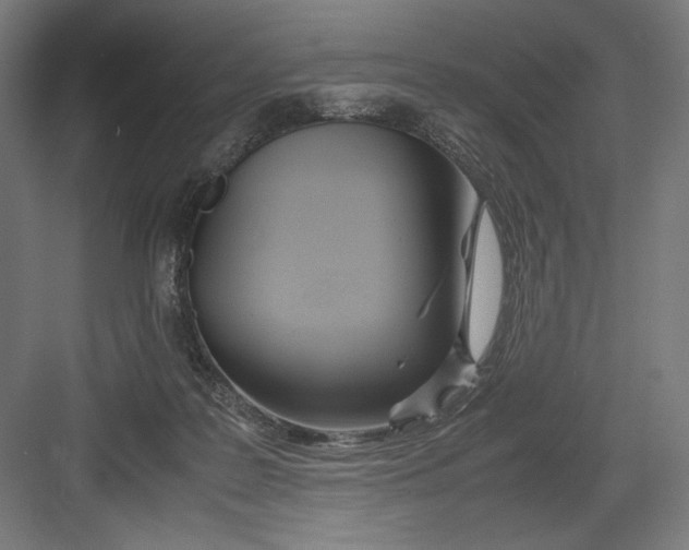 X0000082200219200702100009