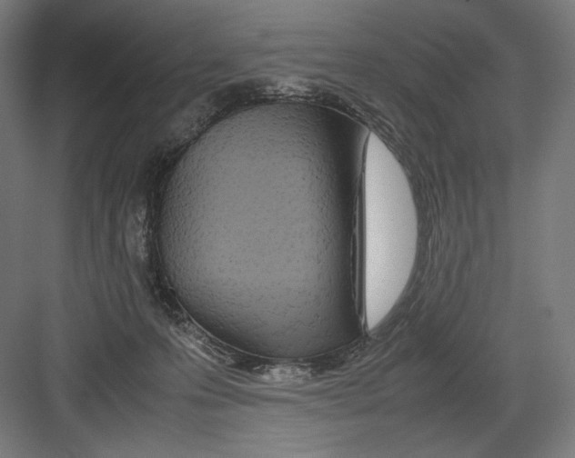 X0000082200223200702100009