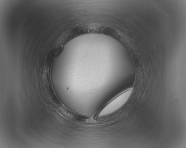 X0000082200225200702100009