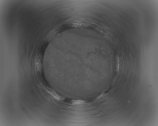 X0000082200226200702100009