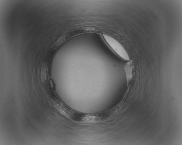 X0000082200227200702100009