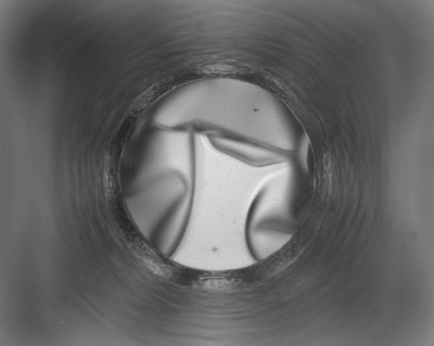 X0000082200228200702100009