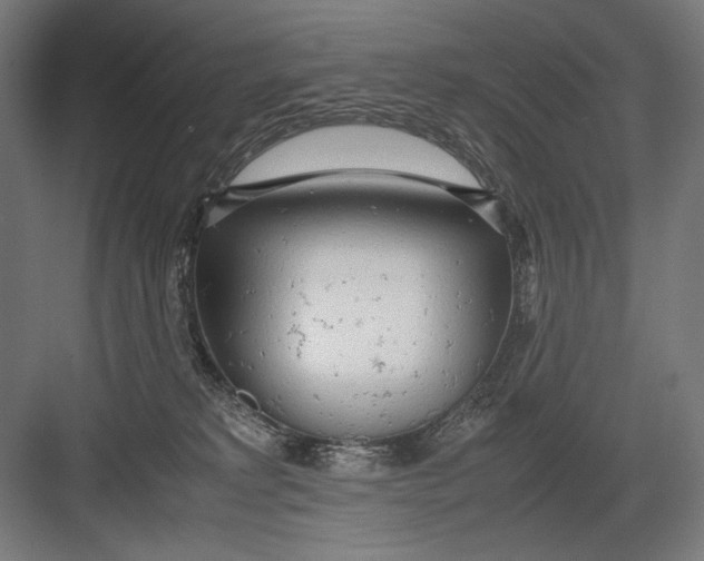 X0000082200229200702100009